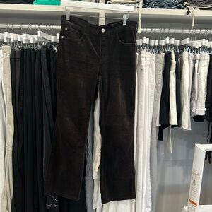 Pilcro chocolate brown corduroy. Boot cut